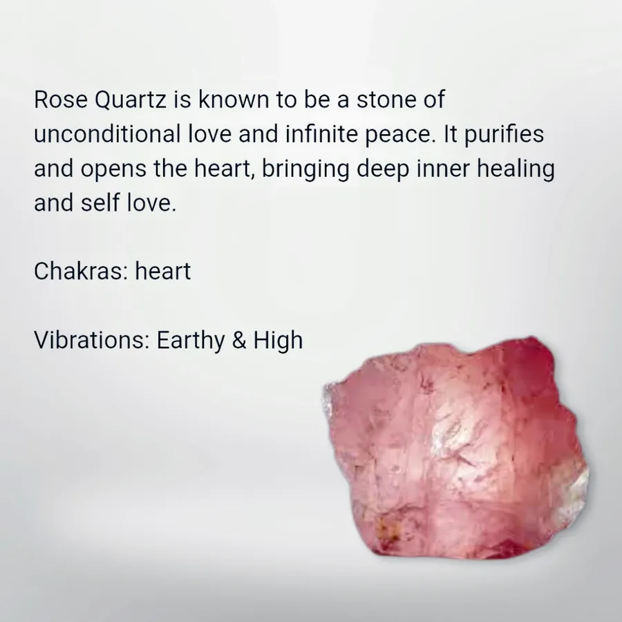 Jellyfish - Earrings - Rose Quartz